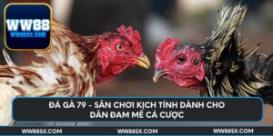 da-ga-79-san-choi-kich-tinh-danh-cho-dan-dam-me-ca-cuoc