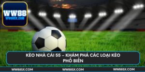 keo-nha-cai-55-kham-pha-cac-loai-keo-pho-bien